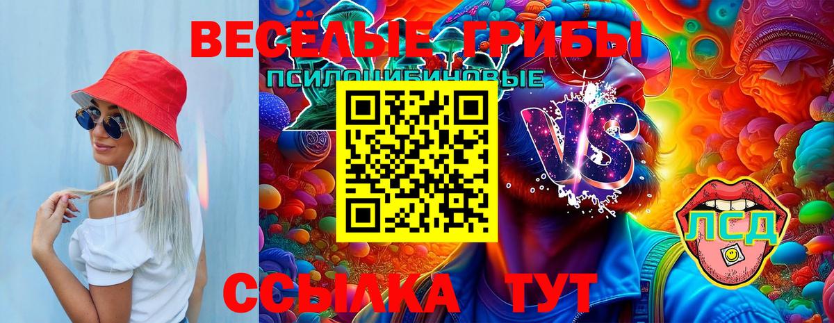 Псилоцибиновые грибы Magic Shrooms Елец
