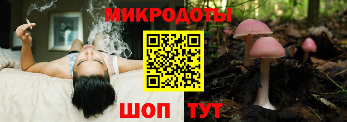 Елец  Псилоцибиновые грибы Psilocybine cubensis  Вход с VPN  Псилоцибиновые грибы Psilocybine cubensis 